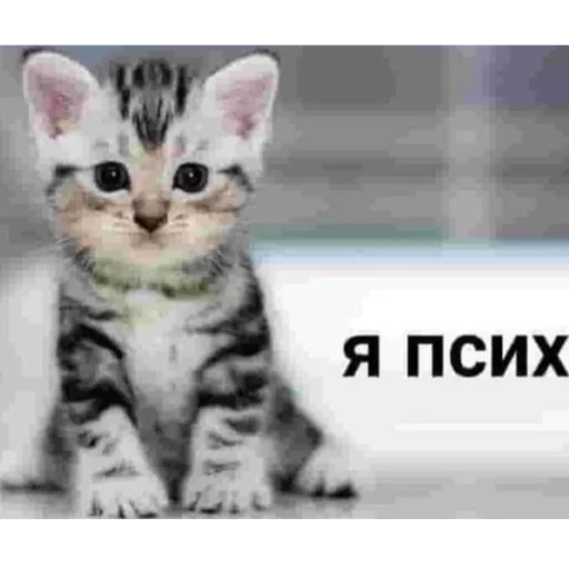 Sticker пидорасы хуесосы - 1