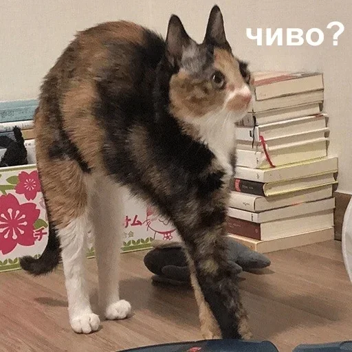 Sticker Зверьё :: @fStikBot - 9