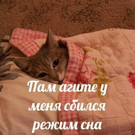 Sticker Зверьё :: @fStikBot - 7