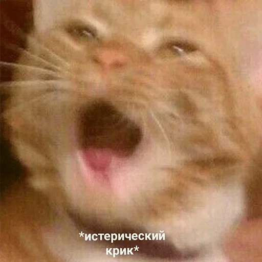 Sticker Зверьё :: @fStikBot - 2