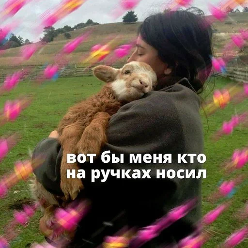 трава на открытом воздухе животное