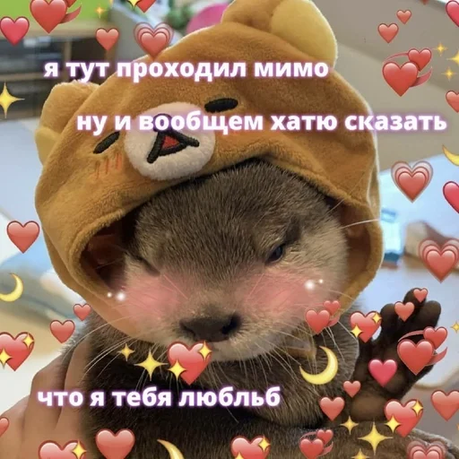 животное СМС плюшевый мишка