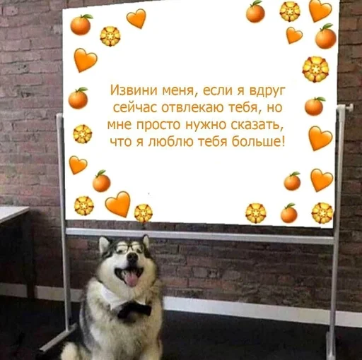 СМС животное собака