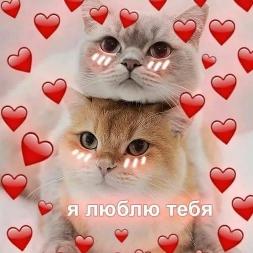 зверюшки от Настюшки :3 by @fStikBot - animal