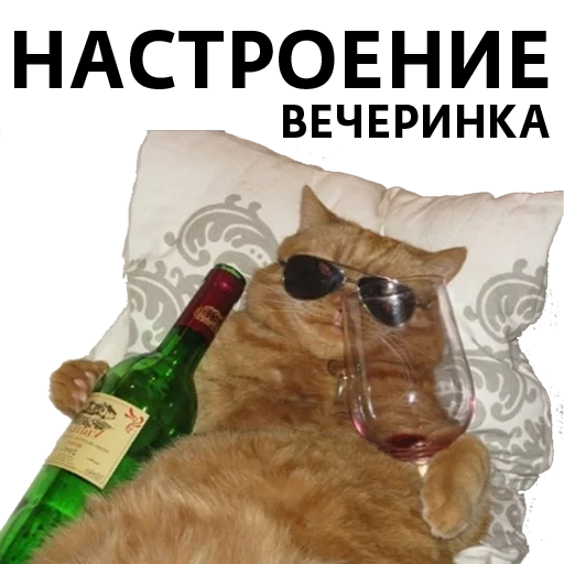 ZVEZDNAY - human face