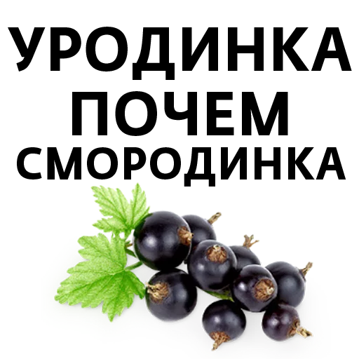 fruit seedless fruit food