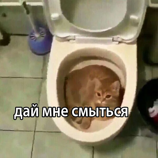 indoor bathroom plumbing fixture