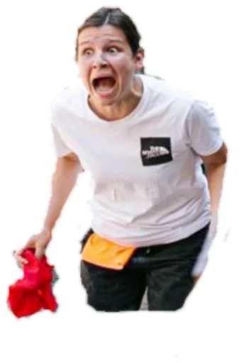 Sticker zwilinge - 1