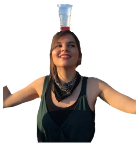 Sticker zwilinge - 1