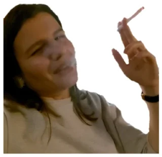 Sticker Zwilinge pack - 2