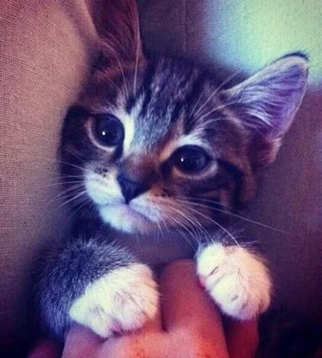 Sticker zwlVBEH_by_achestickbot - 1