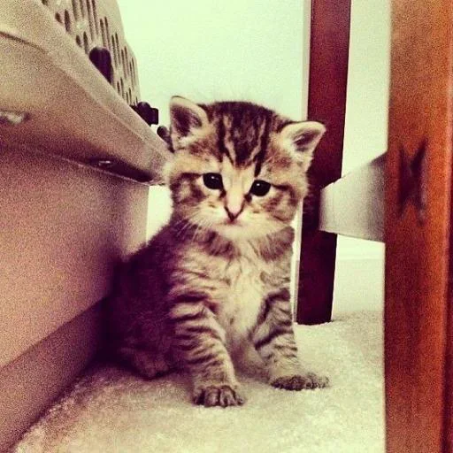 Sticker zwlVBEH_by_achestickbot - 1