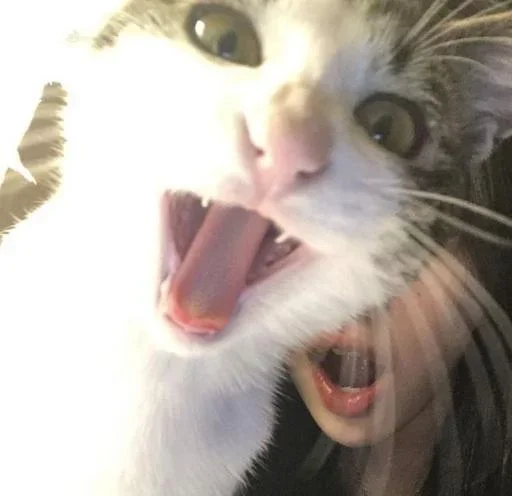 Sticker zwlVBEH_by_achestickbot - 1