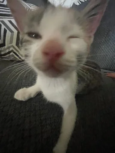 Sticker zwlVBEH_by_achestickbot - 1