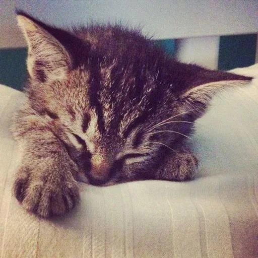 Sticker zwlVBEH_by_achestickbot - 1