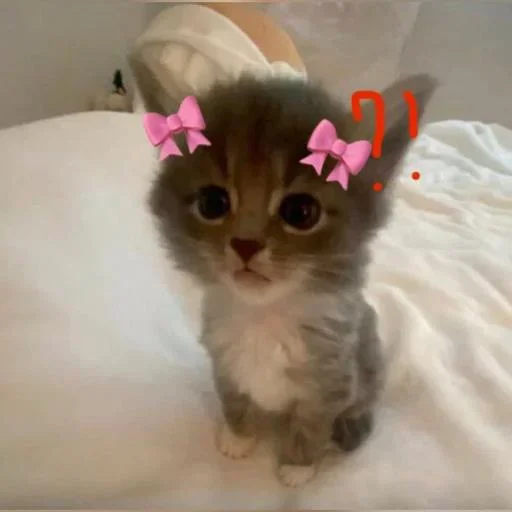 Sticker zwlVBEH_by_achestickbot - 1