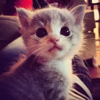 Sticker Больше стиков тут: @stikery4 - 3