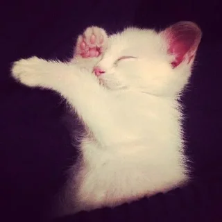 Sticker Больше стиков тут: @stikery4 - 7