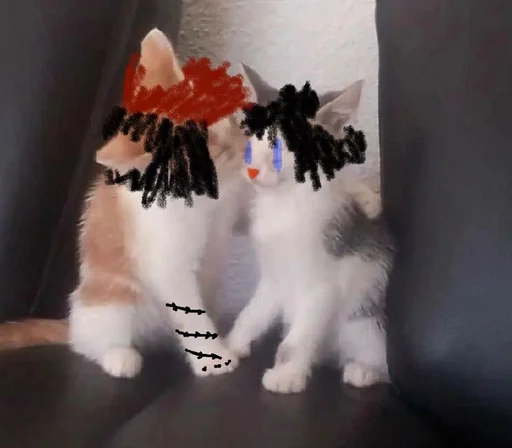 котёнок кошки малого и среднего размера кошачьи