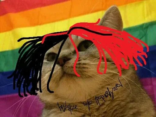 small to medium-sized cats cat felidae