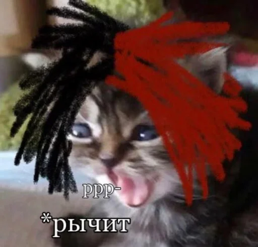 кошки малого и среднего размера кошка животное