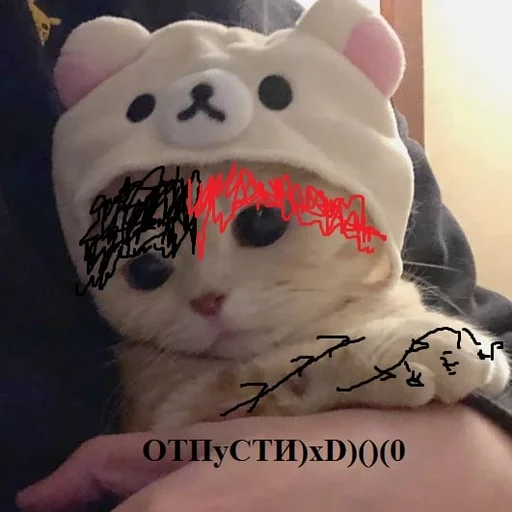 кошка СМС кошачьи