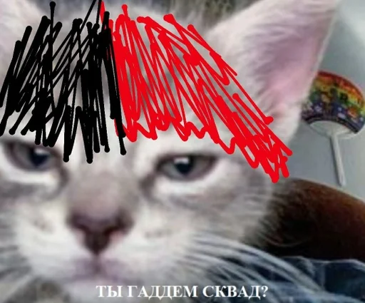 small to medium-sized cats text felidae