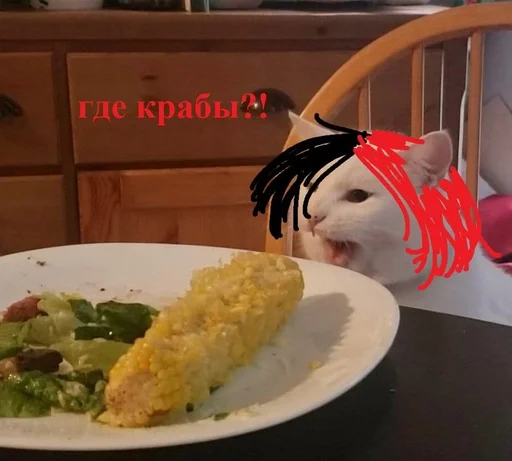 indoor fast food food