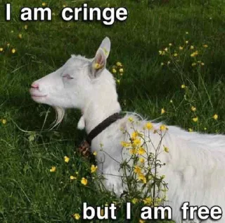 Стикер Намасте - 10