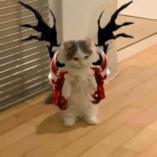 Стикер zxc - 10