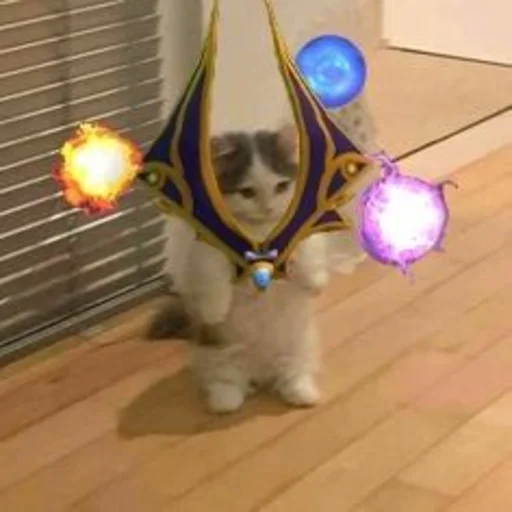 Стикер zxc - 7