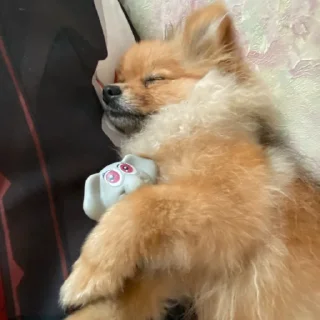 Стикер Моль-zxclegenda - 0