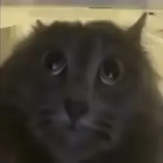 Sticker 💀💀💀 - 9