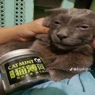 Sticker 💀💀💀 - 6