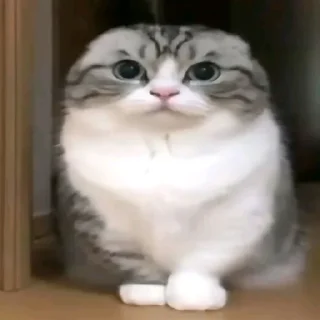 Sticker 💀💀💀 - 11