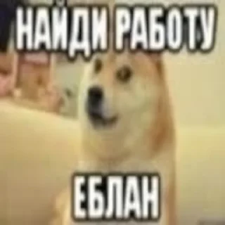 Sticker dolbaeb54rus - 9