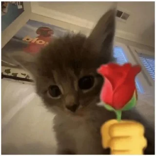 Sticker 💕 Стики тут: @Stickersloving - 4