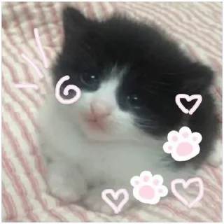 Sticker 💕 Стики тут: @Stickersloving - 11