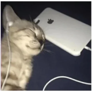 Sticker 💕 Стики тут: @Stickersloving - 10