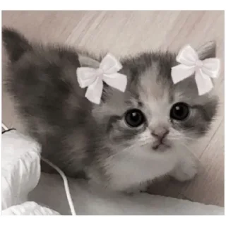 Sticker 💕 Стики тут: @Stickersloving - 9